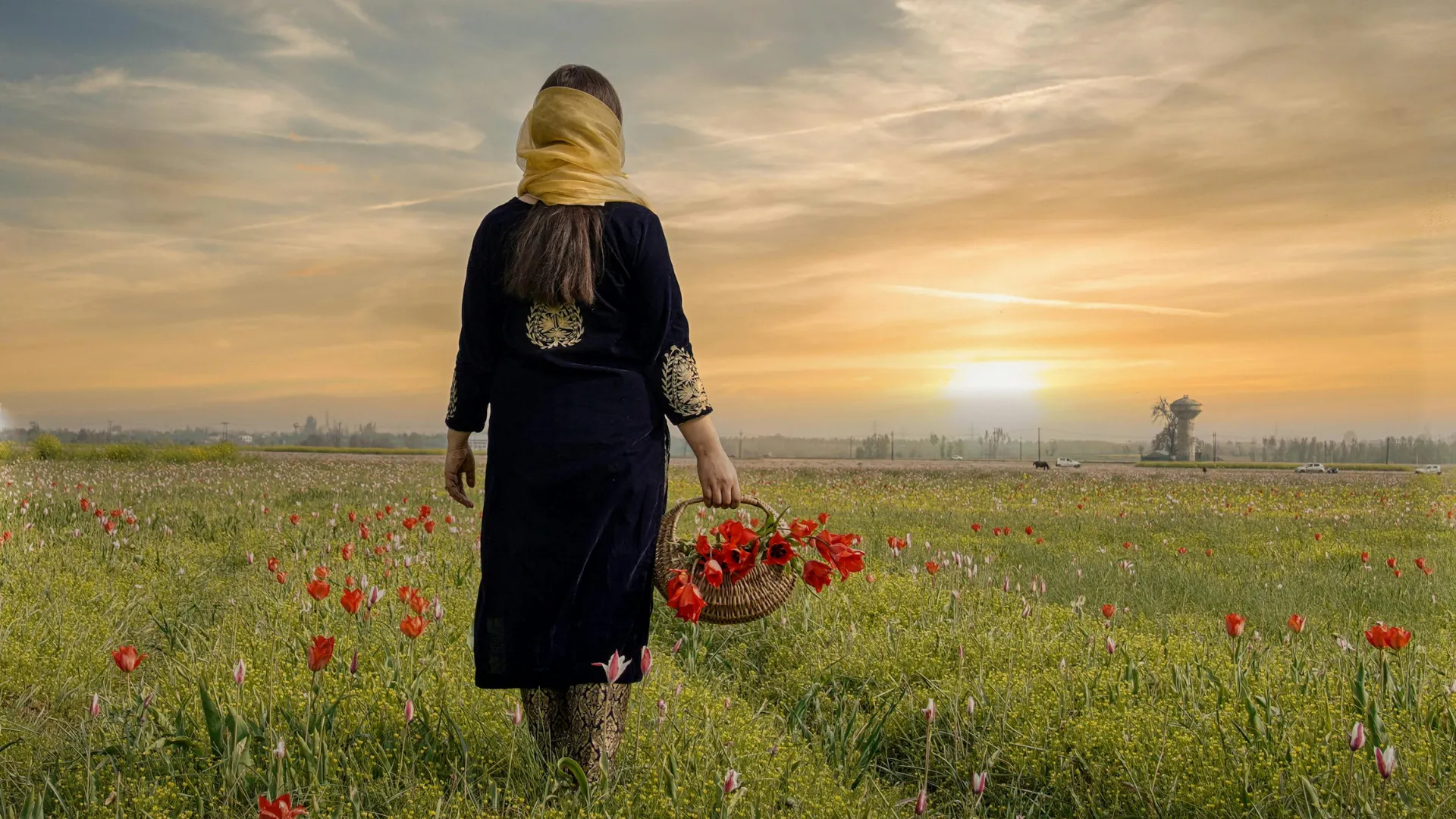 Scenic view of Kashmir meadows